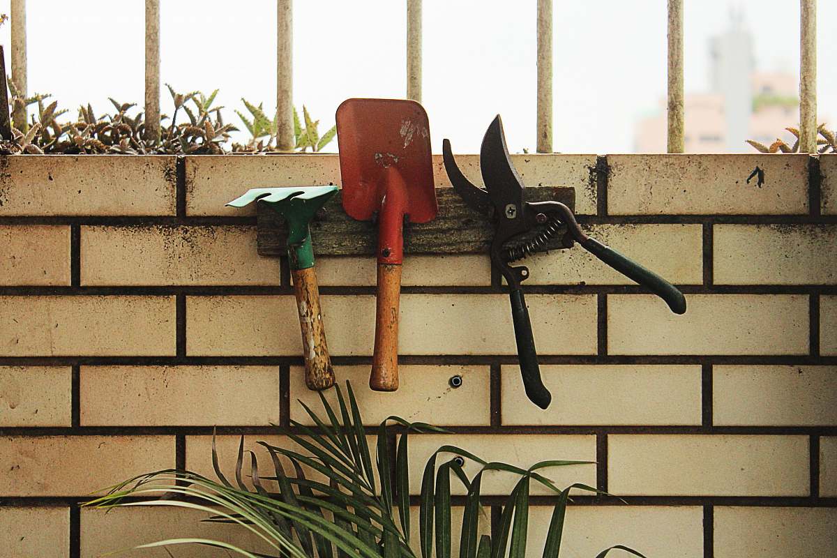 potted plant red shovel hanging on rack beside plant jar